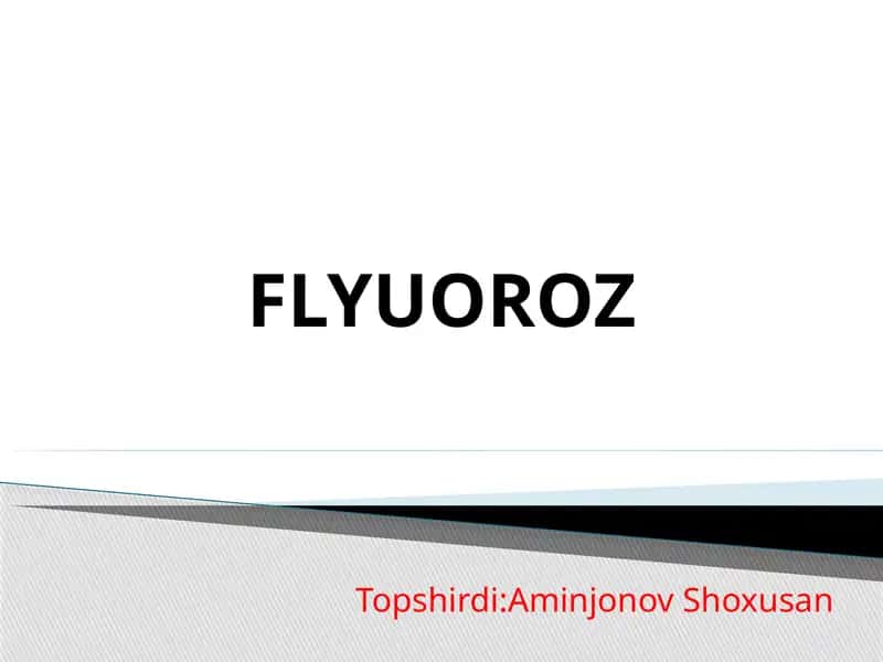 FLYUOROZ 1