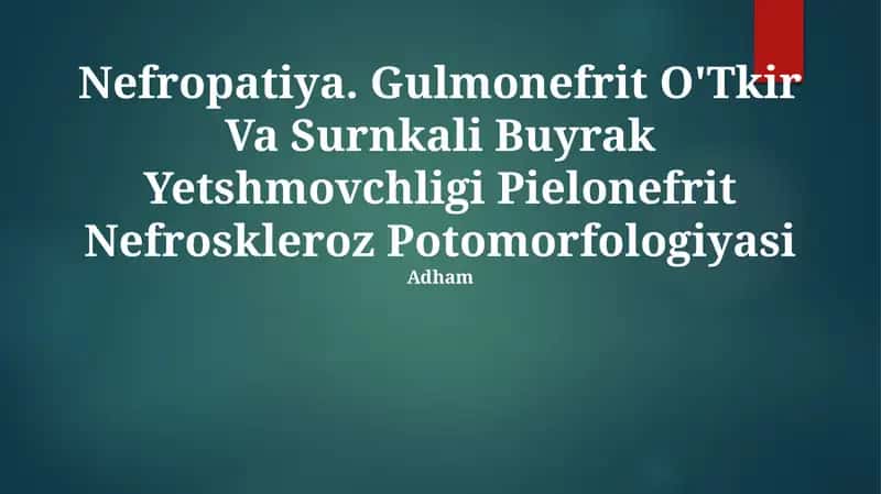 Nefropatiya. Gulmonefrit O'Tkir Va Surnkali Buyrak Yetshmovchligi Pielonefrit Nefroskleroz Potomorfologiyasi 1