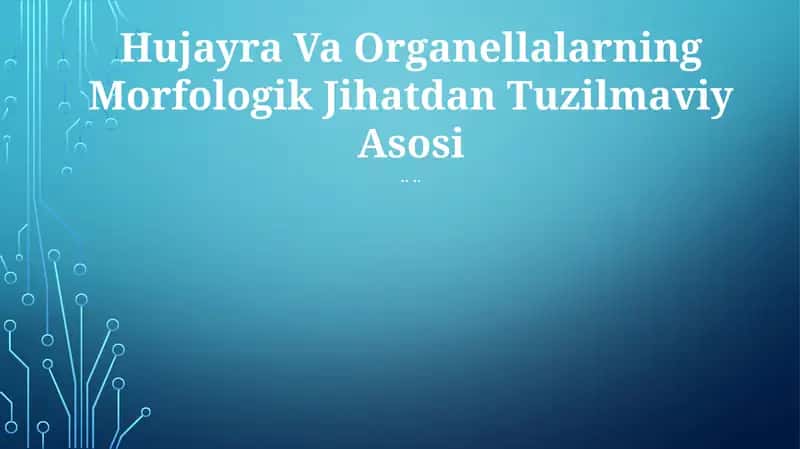 Hujayra Va Organellalarning Morfologik Jihatdan Tuzilmaviy Asosi 1