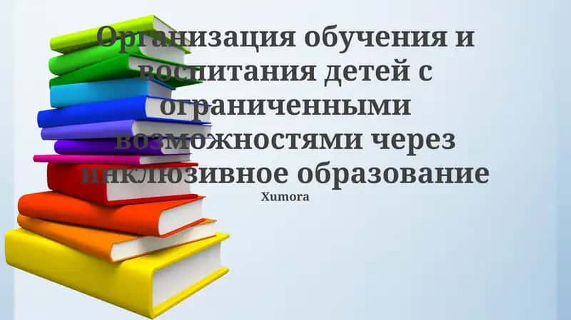 Организация обучения и воспитания детей с ограниченными возможностями через инклюзивное образование 1