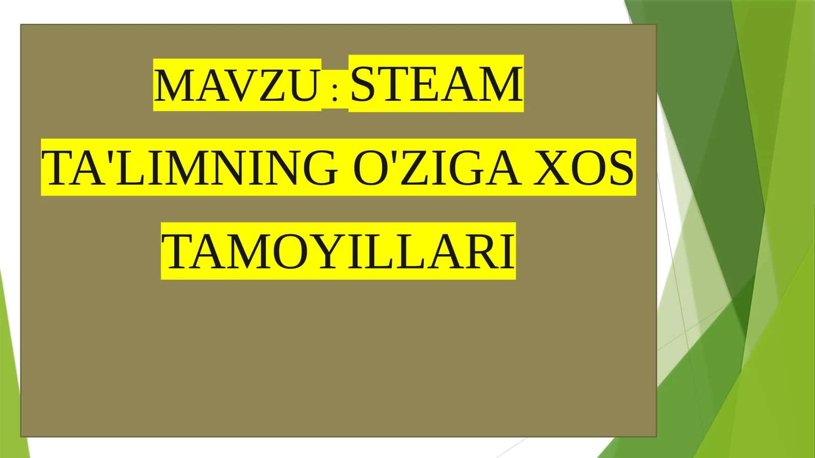 STEAM TA'LIMNING O'ZIGA XOS TAMOYILLARI 1
