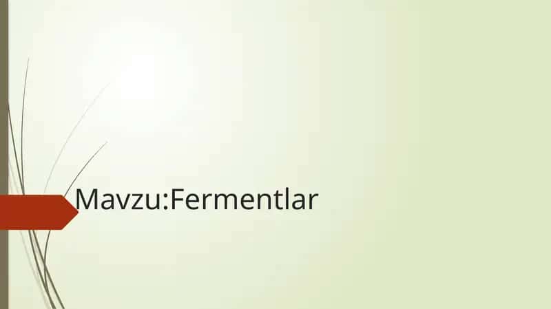Fermentlar 1