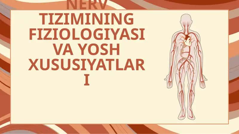 NERV TIZIMINING FIZIOLOGIYASI VA YOSH XUSUSIYATLARI 1