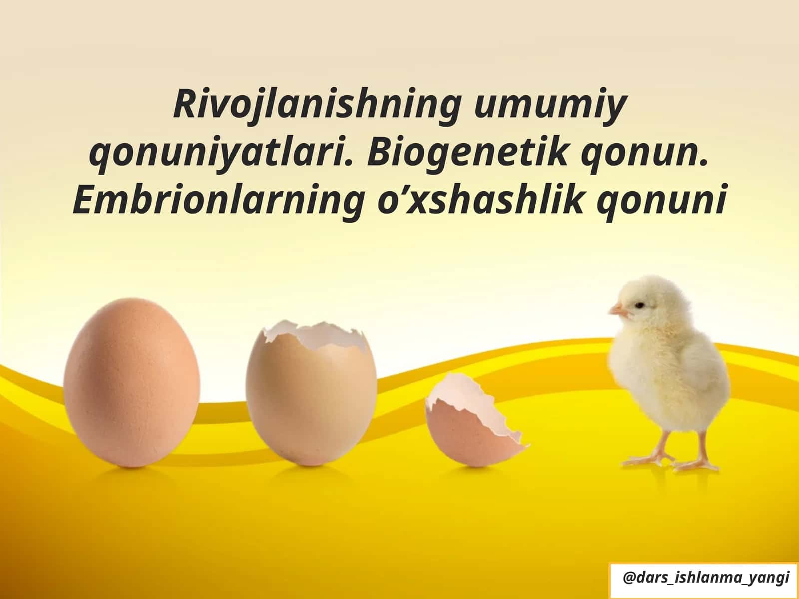 Embrion O‘xshashlik Qonuni 1