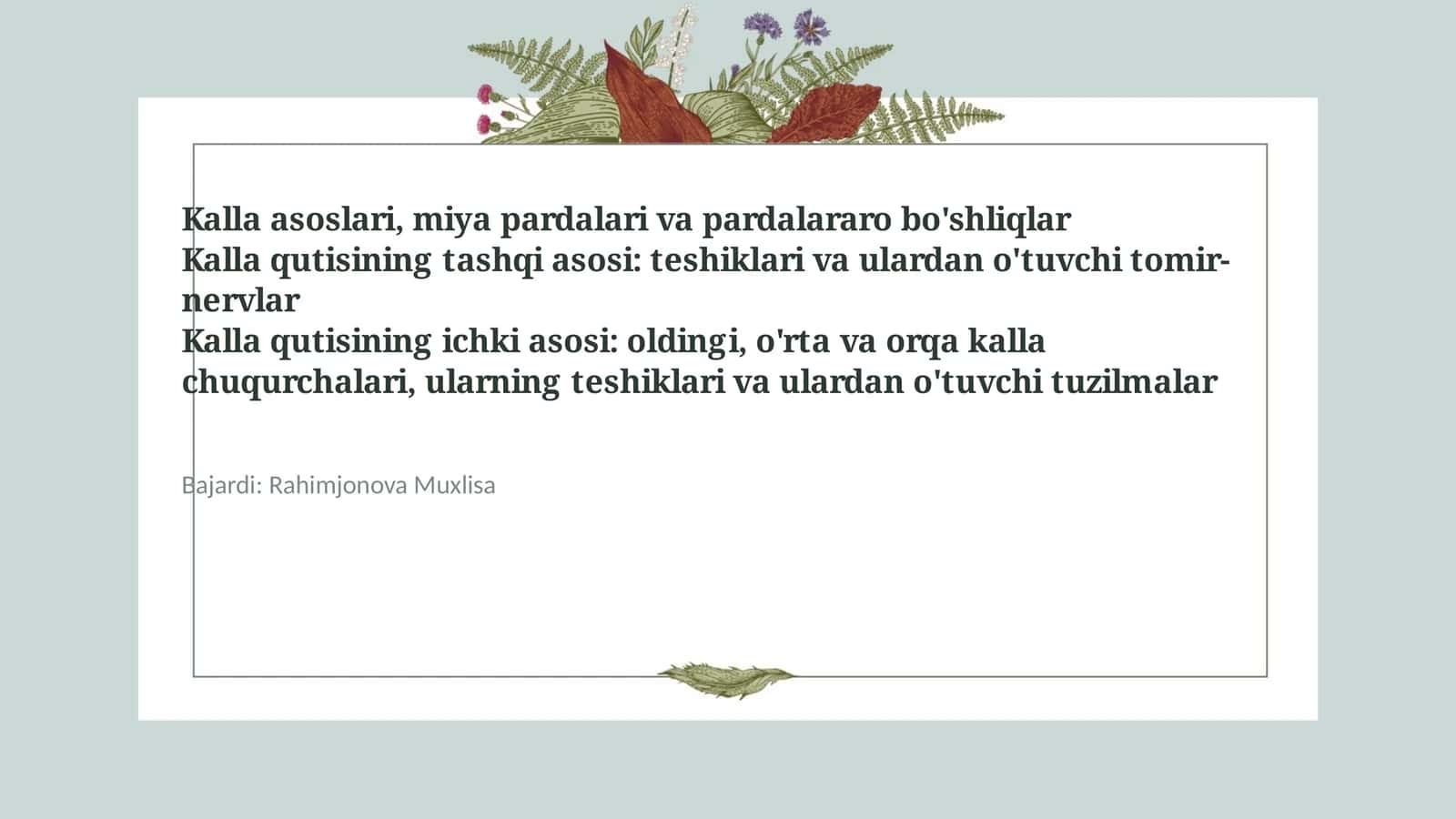 Kalla asoslari, miya pardalari va pardalararo bo'shliqlar 1