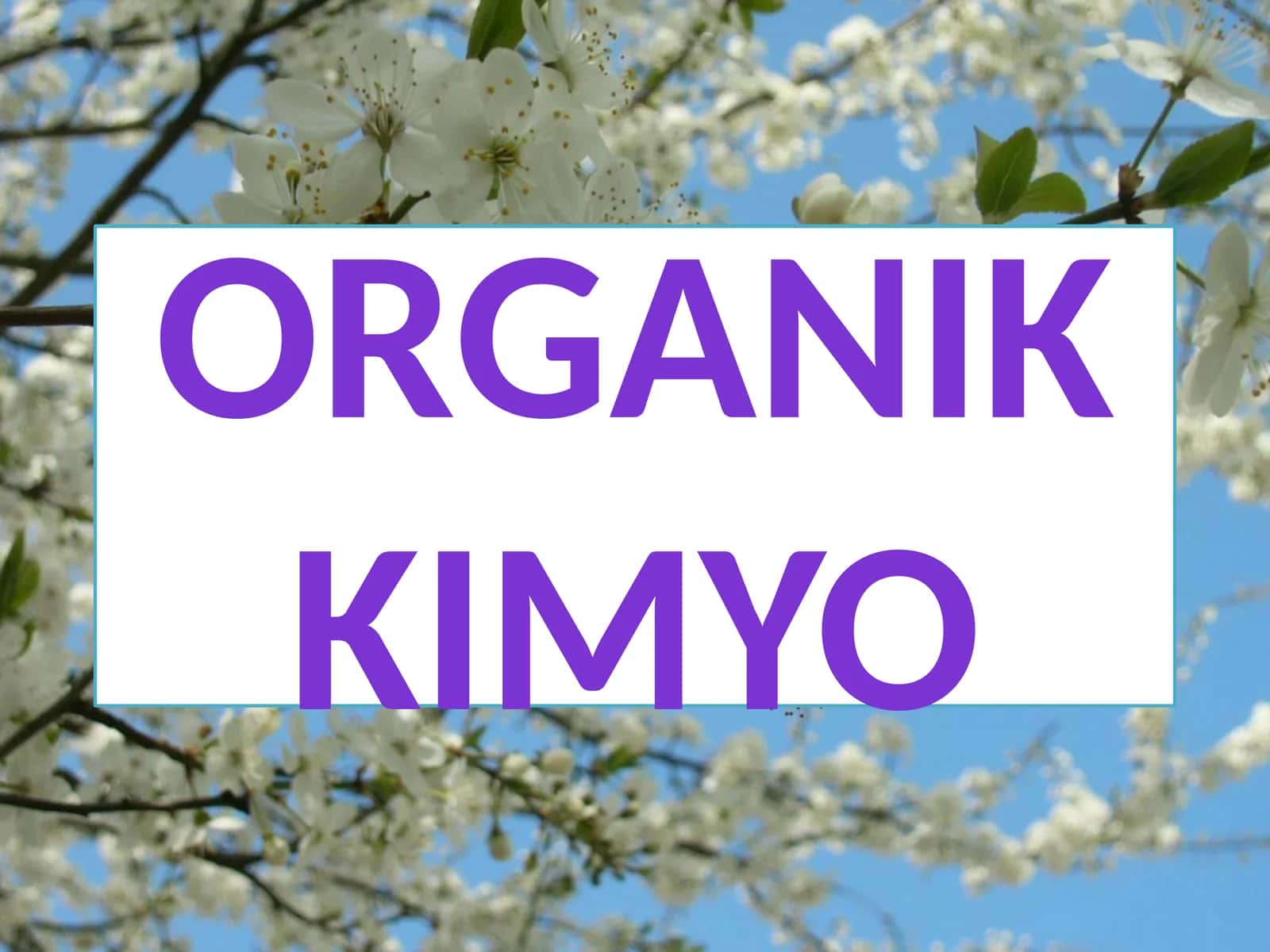 Organikkimyo 1