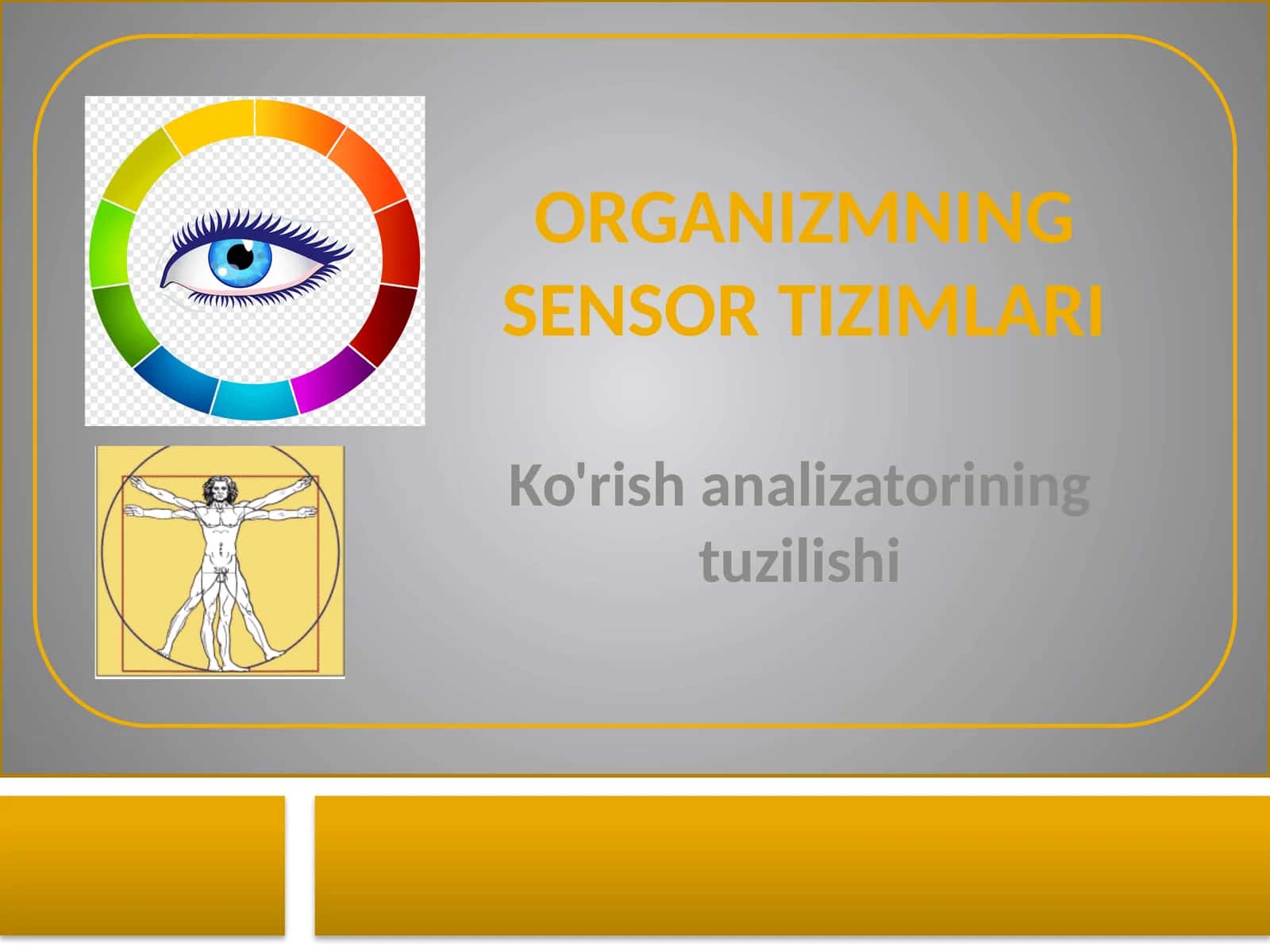 Ko'rish analizatori tuzilishi 1