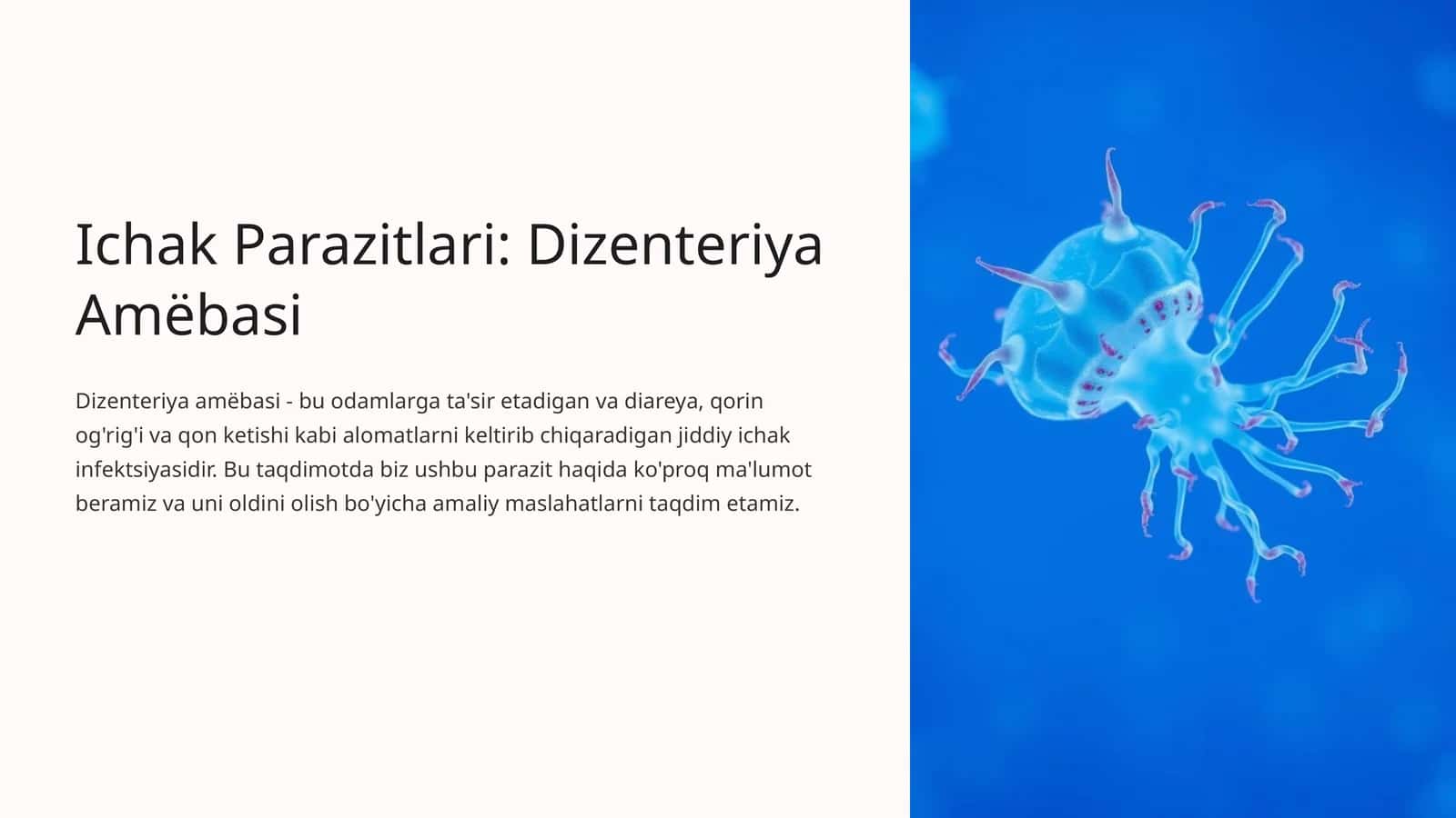 Ichak Parazitlari: Dizenteriya Amëbasi 1