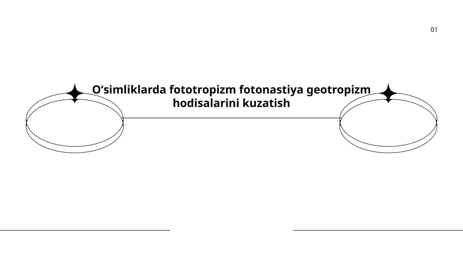 Oʻsimliklarda fototropizm fotonastiya geotropizm hodisalarini kuzatish 1