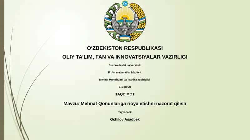 Mehnat Qonunlariga rioya etishni nazorat qilish 1