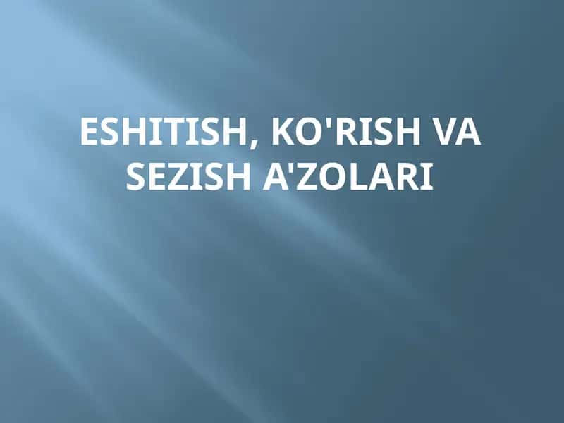 Sensor Tizimining Tekshirish Usullari 1
