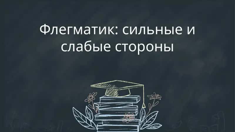 Флегматик: сильные и слабые стороны 1