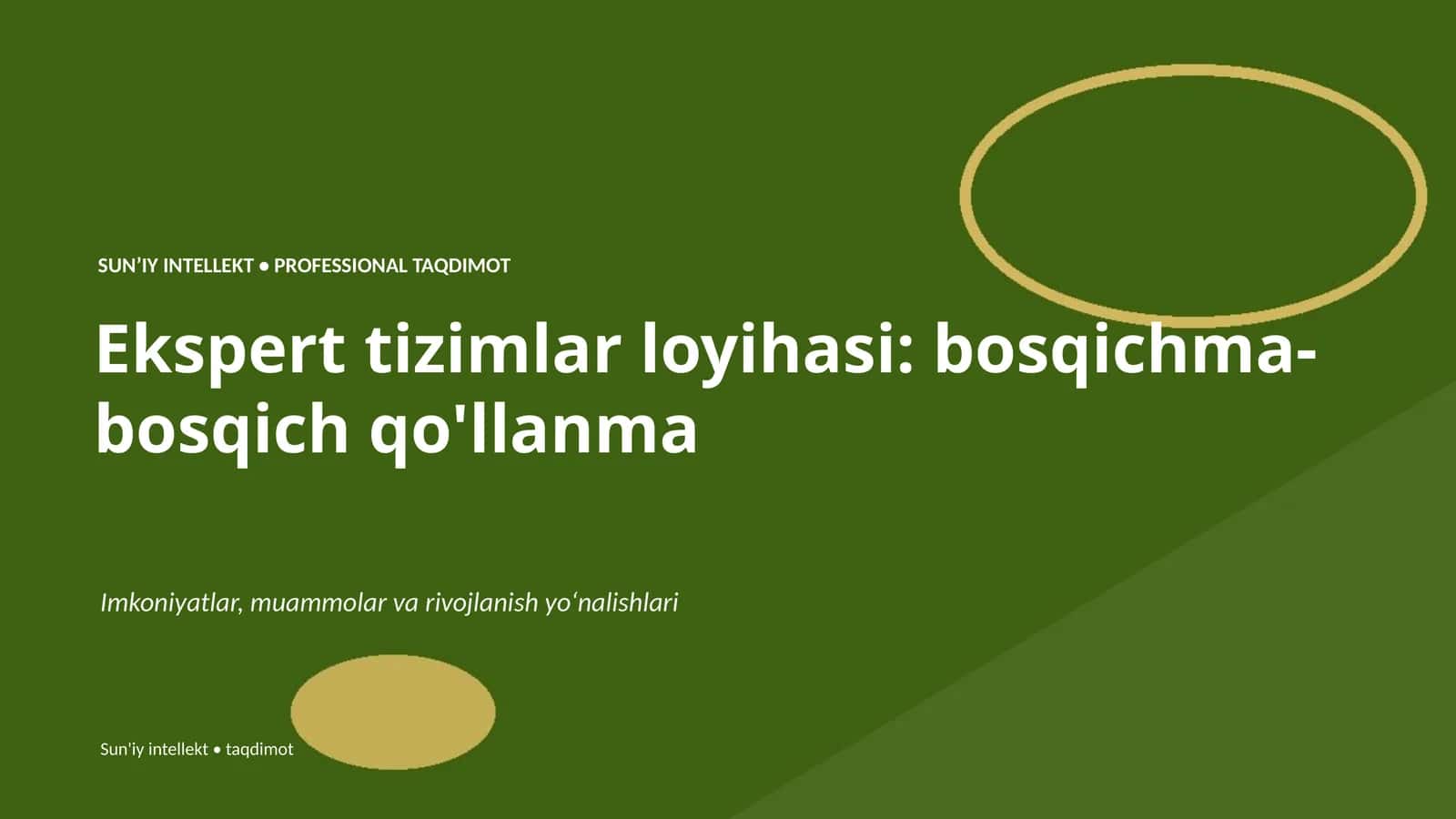 Ekspert tizimlar loyihasi: bosqichma-bosqich qo'llanma 1