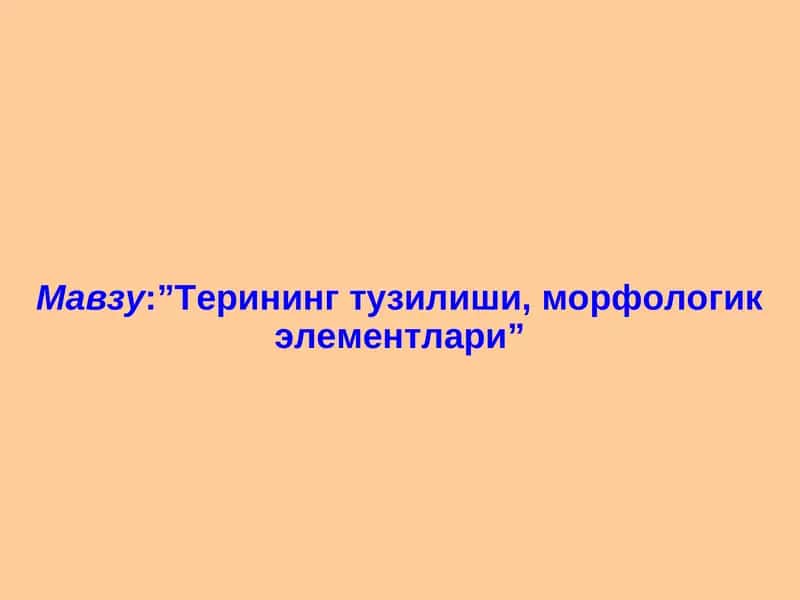 Терининг паразитар касалликлари 1