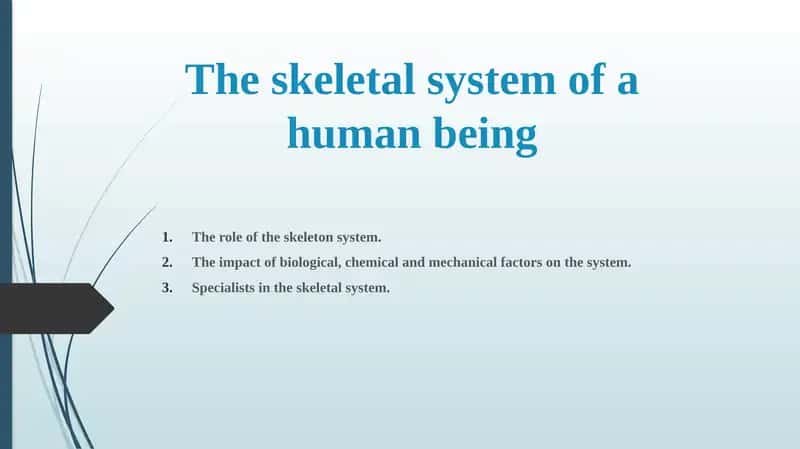 The Skeletal System of a Human Being 1