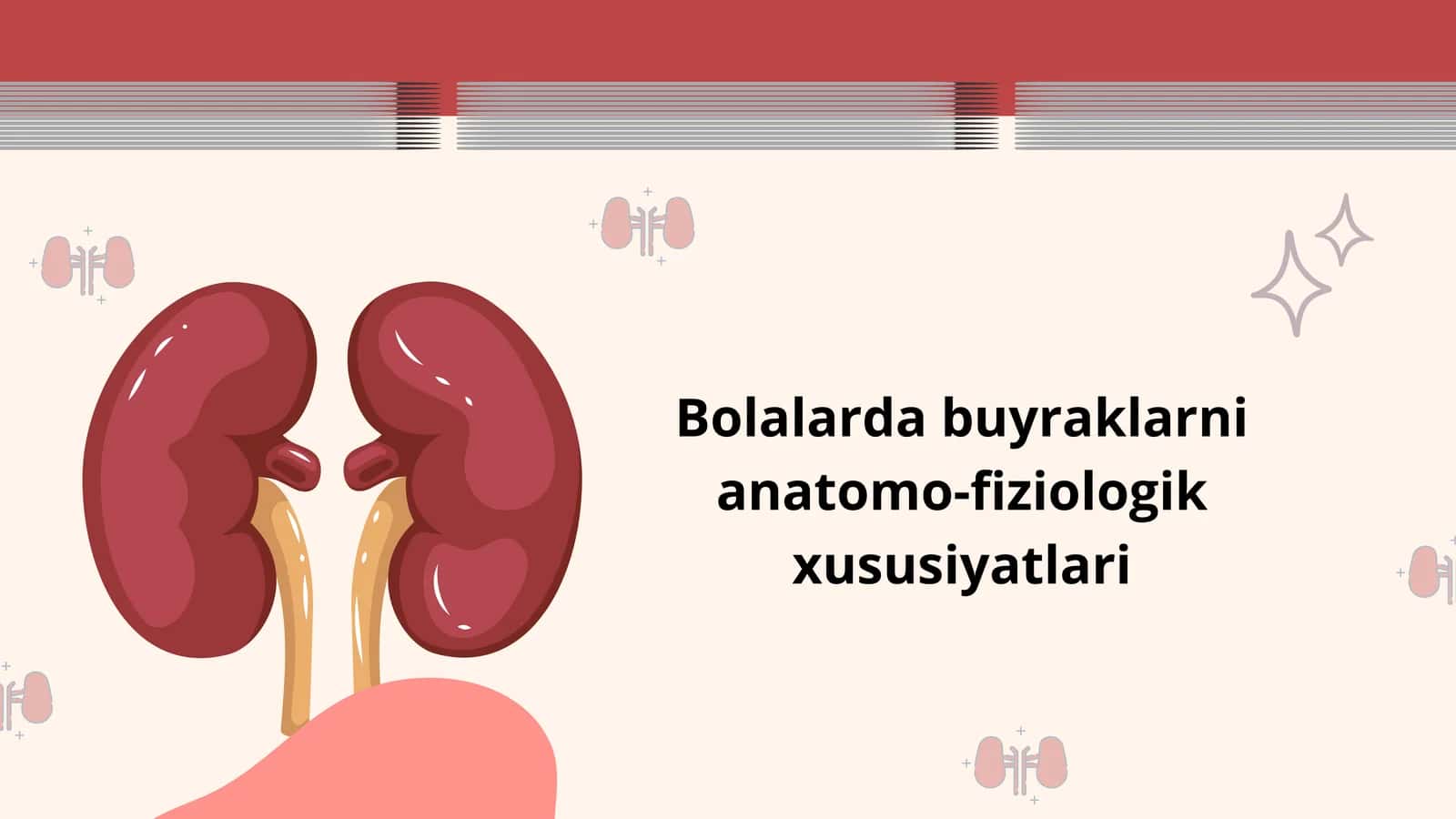 Bolalarda Buyraklarning Anatomo-Fiziologik Xususiyatlari — 12 Slaydlik Taqdimot 1