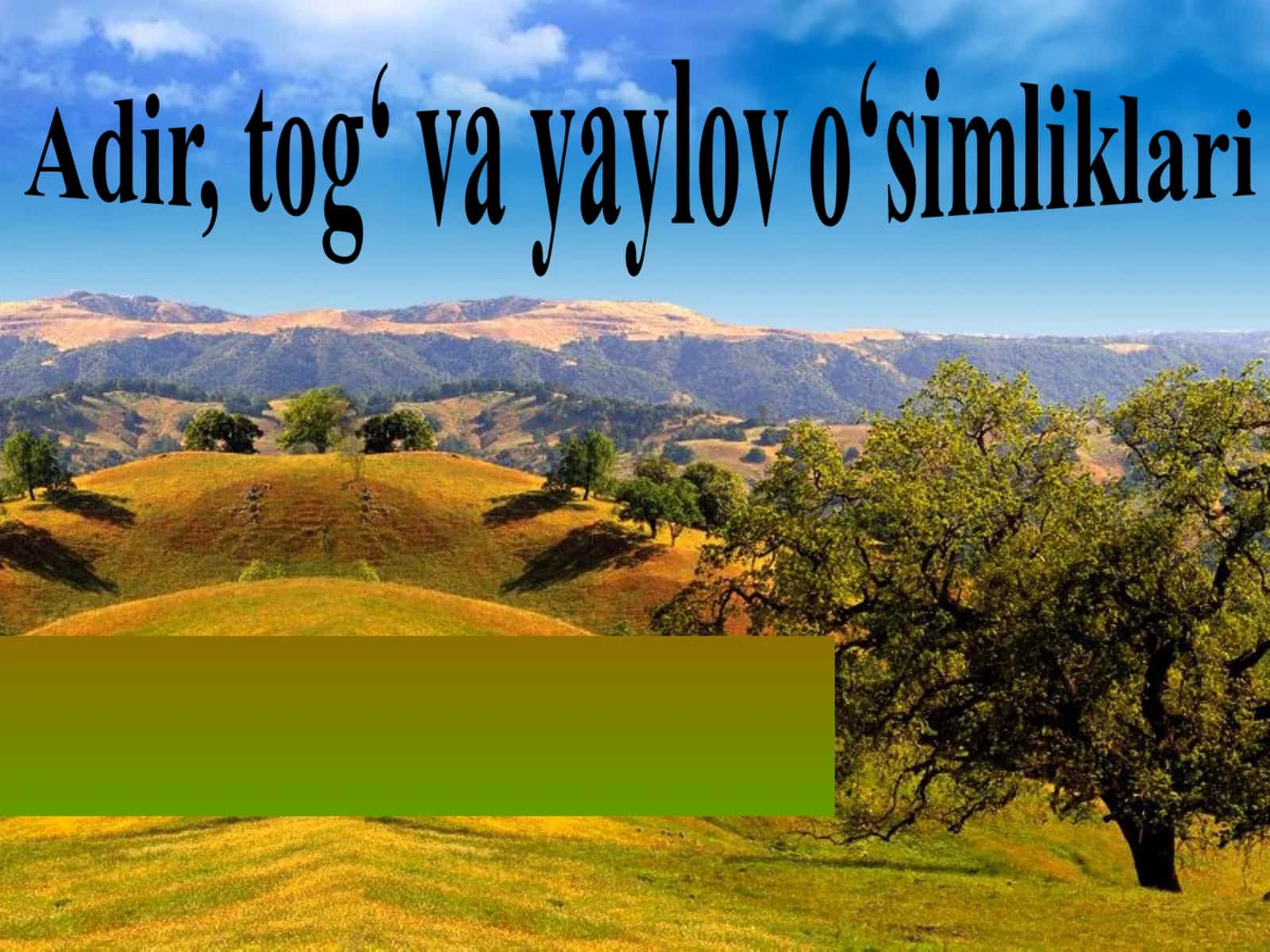 O'rta Osiyo adir, tog‘ va yaylov o‘simliklari 1