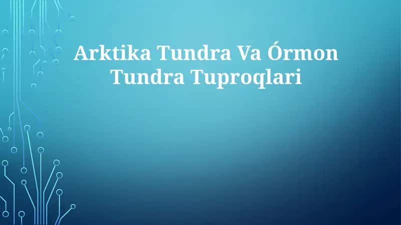Arktika Tundra Va Órmon TundraTuproqlari 1