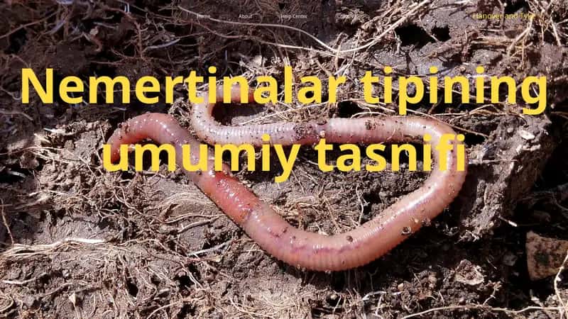 bio slayd nermertinalar 1