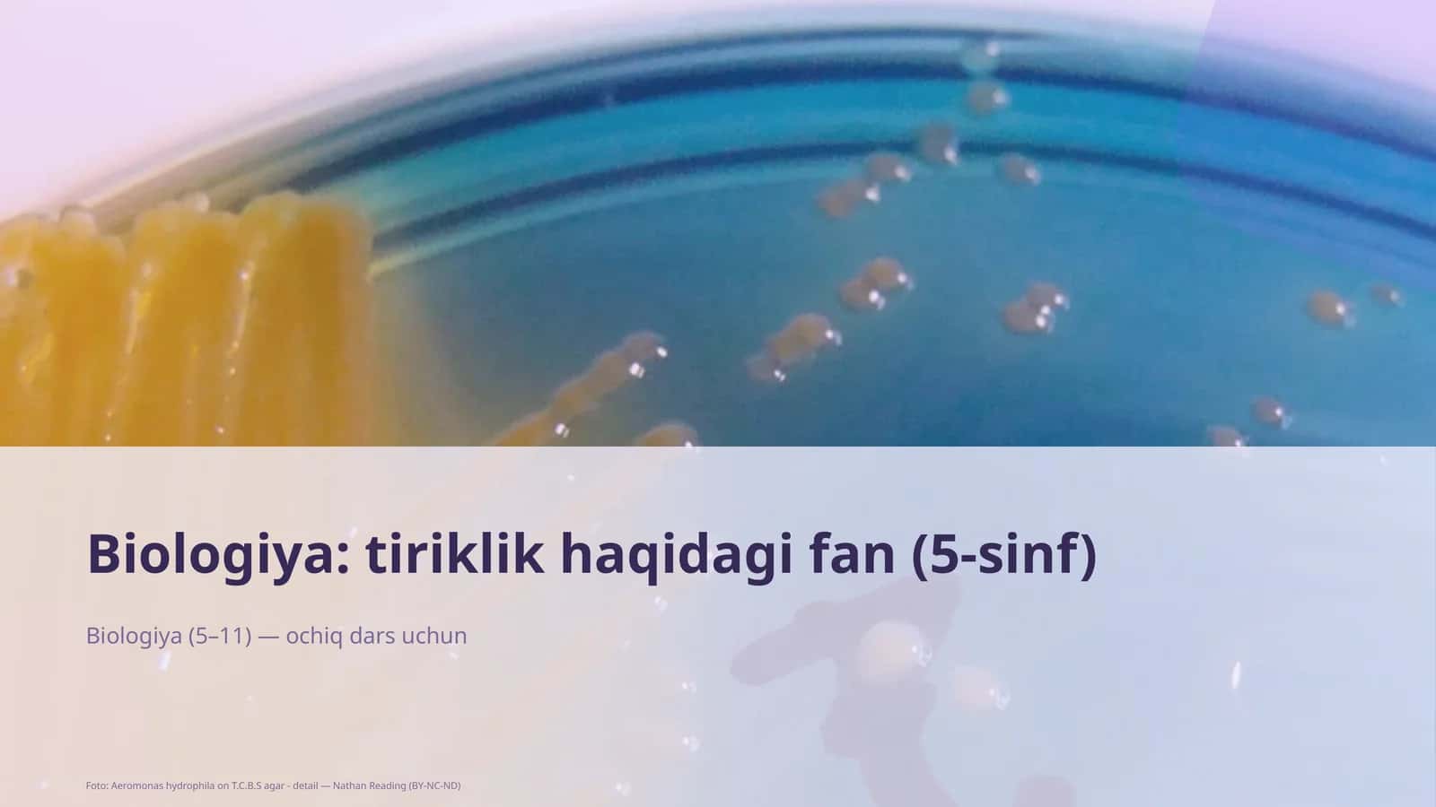 Biologiya: tiriklik haqidagi fan (5-sinf) 1