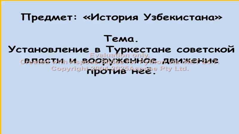 Установление в Туркестане советской власти и вооруженное движение против неё 1