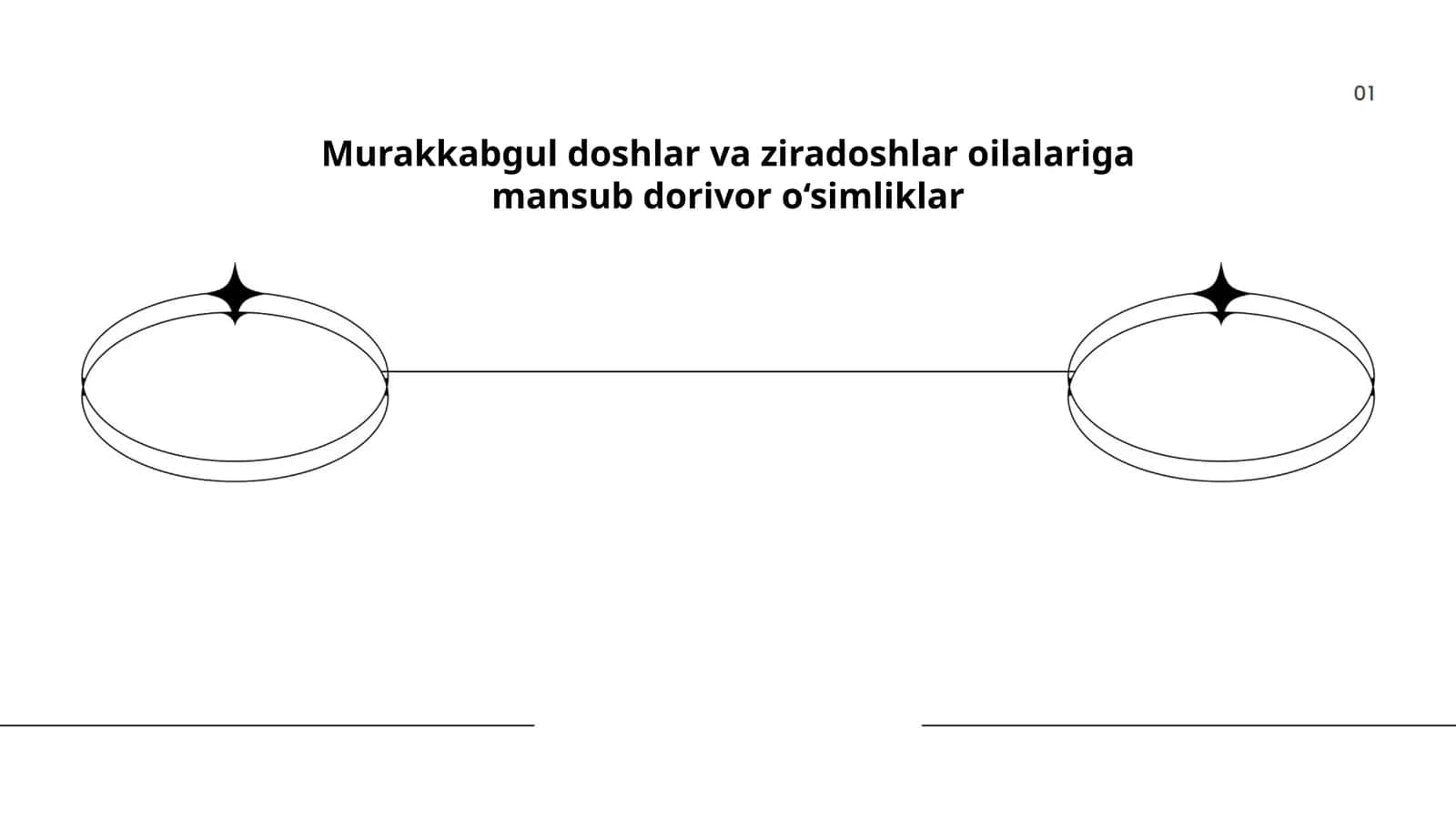 Murakkabgul doshlar va ziradoshlar oilalariga mansub dorivor o‘simliklar 1