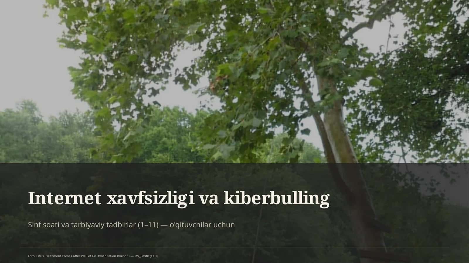 Internet xavfsizligi va kiberbulling 1