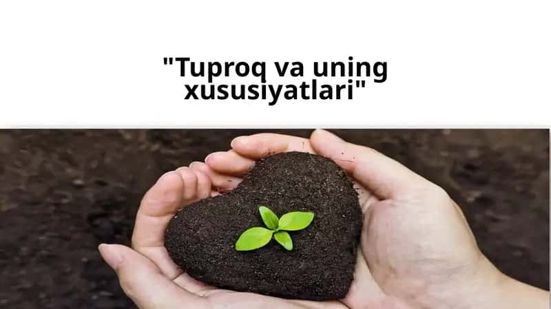 Tuproq va uning xususiyatlari 1