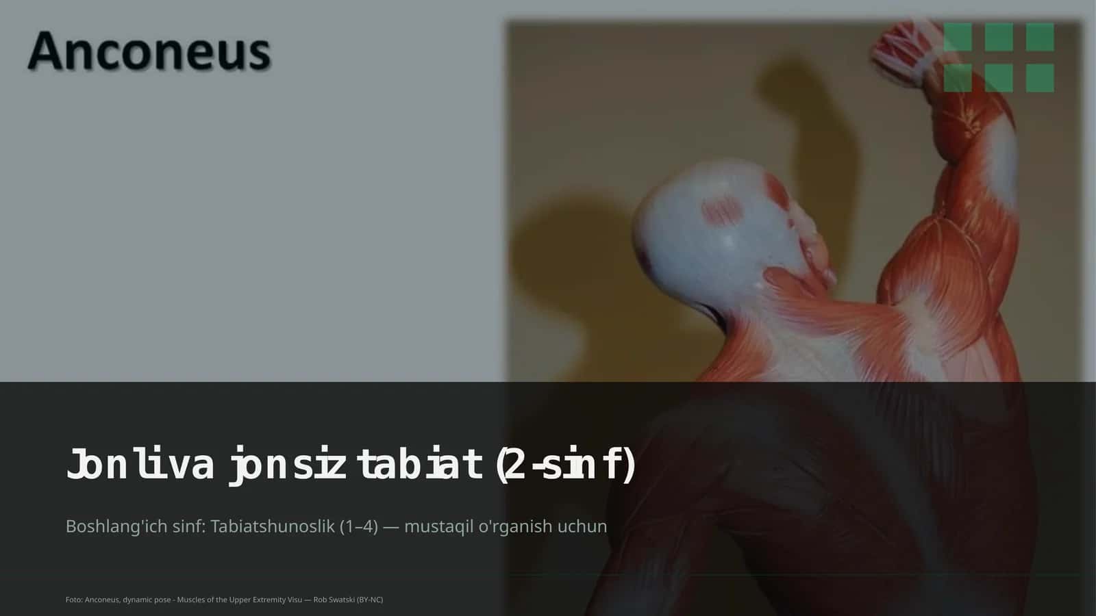 Jonli va jonsiz tabiat (2-sinf) 1