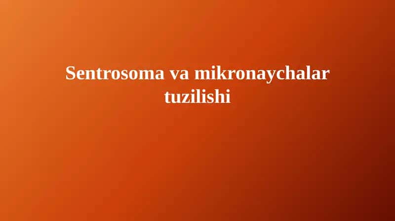 Sentrosoma va Mikronaychalar Tuzilishi 1