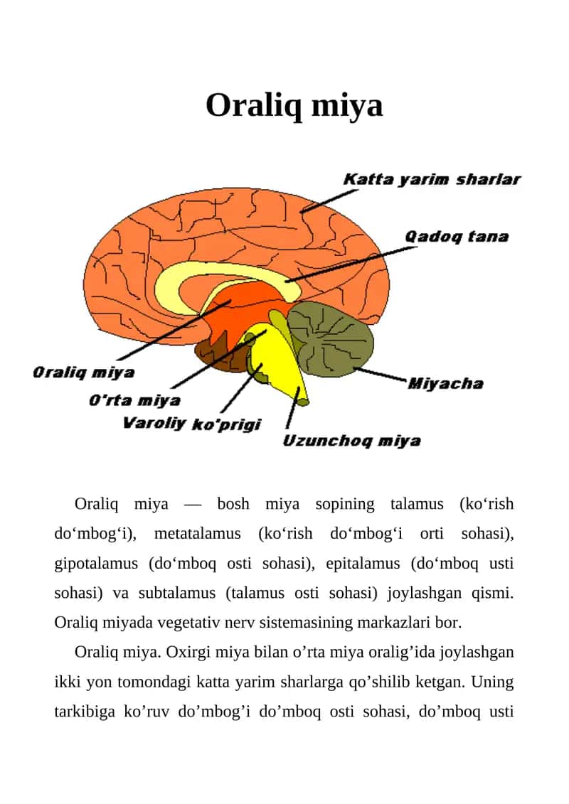 Oraliq miya 1