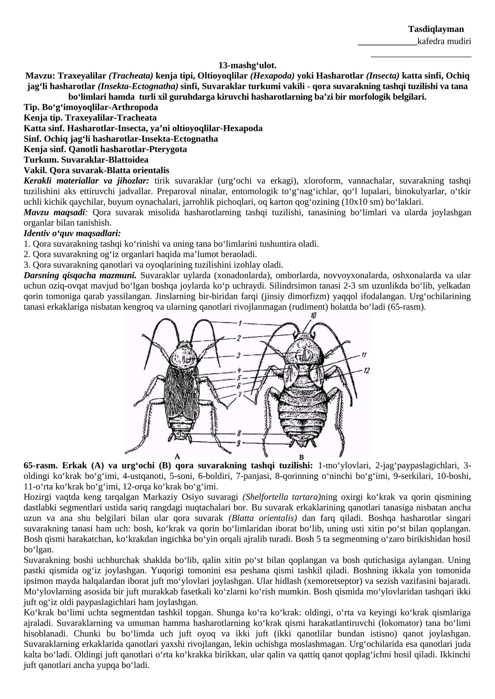 Suvaraklar (Blattoidea) va ularning taksonomik manbalari 1