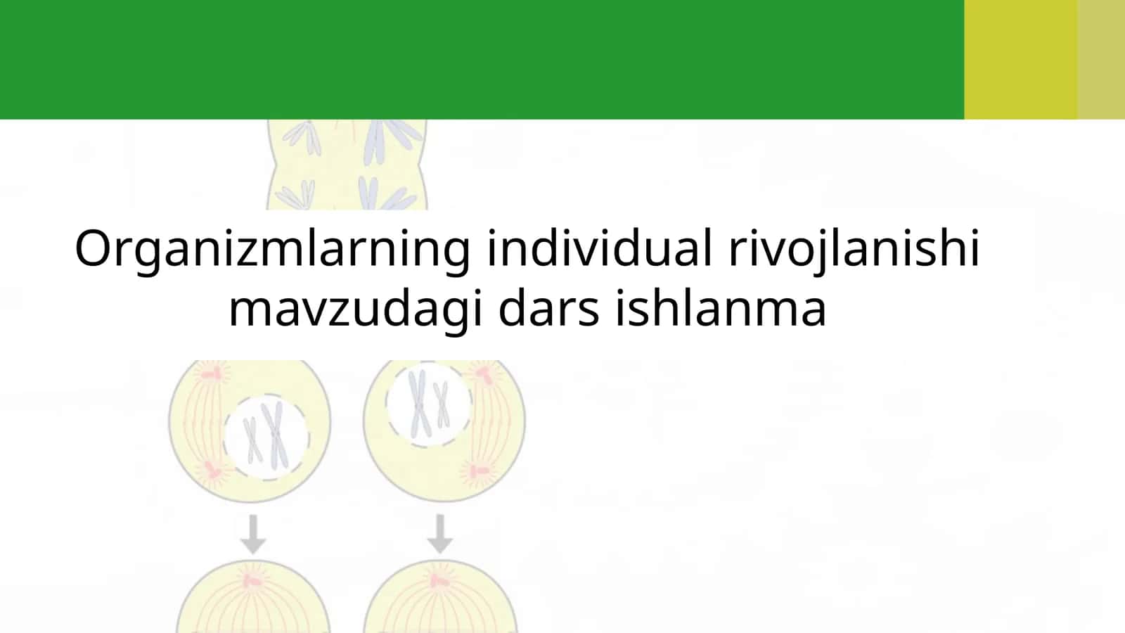 Organizmlarning individual rivojlanishi mavzudagi dars ishlanma 1