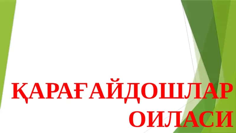 Қарағайдошлар оиласи 1