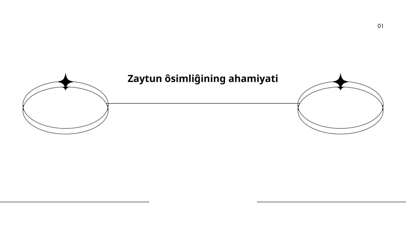 Zaytun ôsimliĝining ahamiyati 1