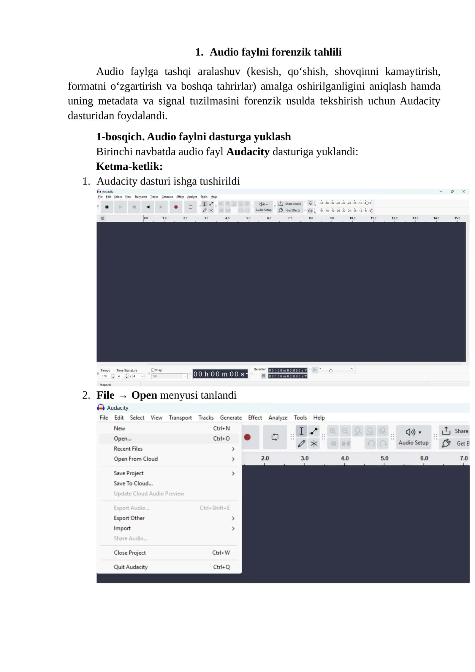 Audio, vedio, rasm faylni forenzik tahlili 1