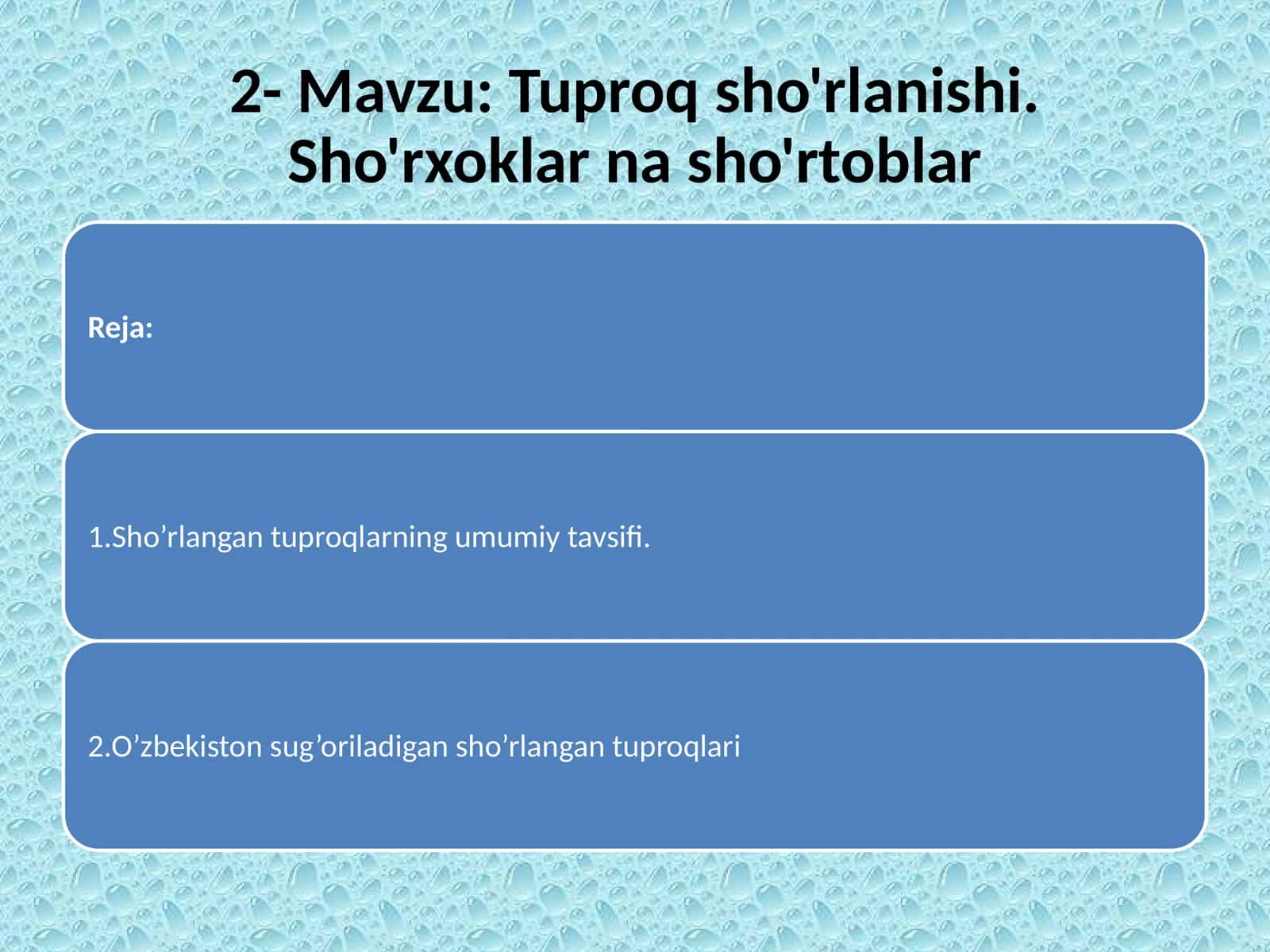 Tuproqsho'rlanishi.Sho'rxoklarnasho'rtoblar 1