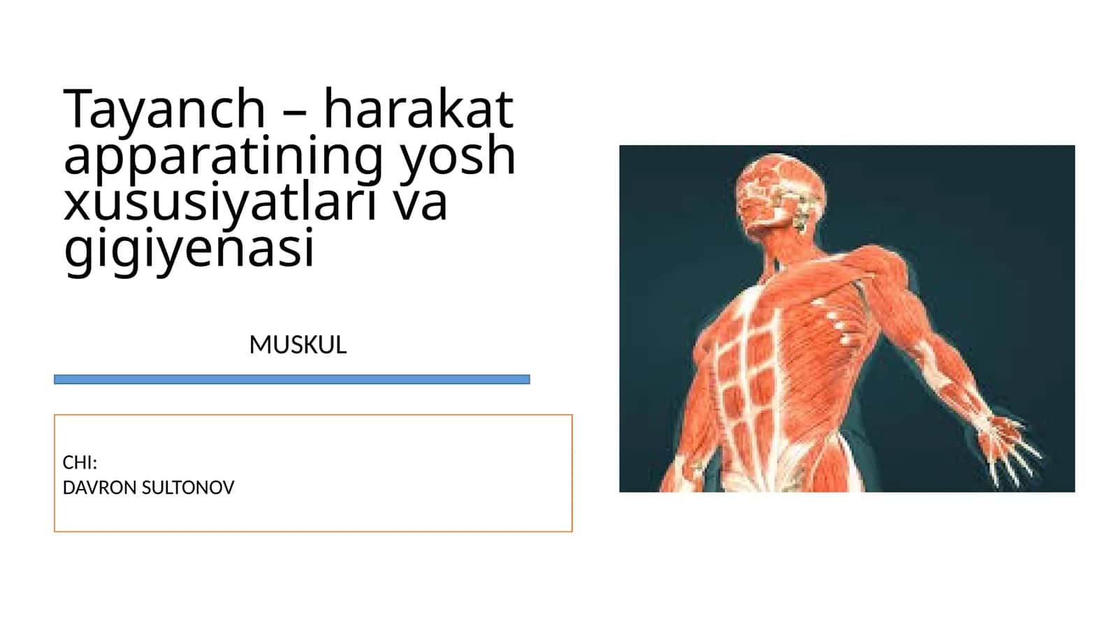 Tayanch – harakat apparatining yosh xususiyatlari va gigiyenasi 1