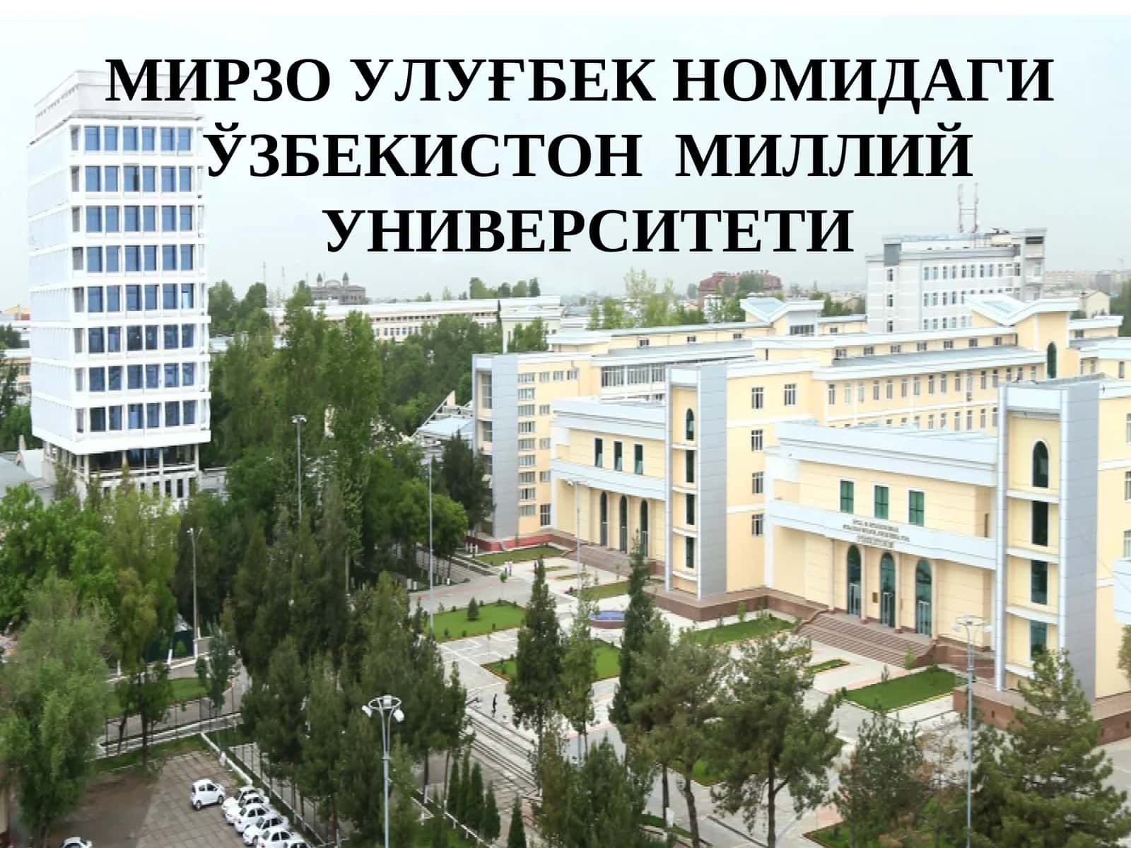 Борлиқ 1