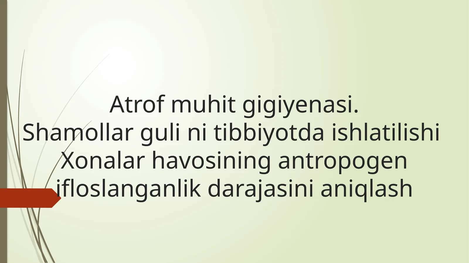 Shamollar Gulinini Tibbiyotda Ishlatilishi 1