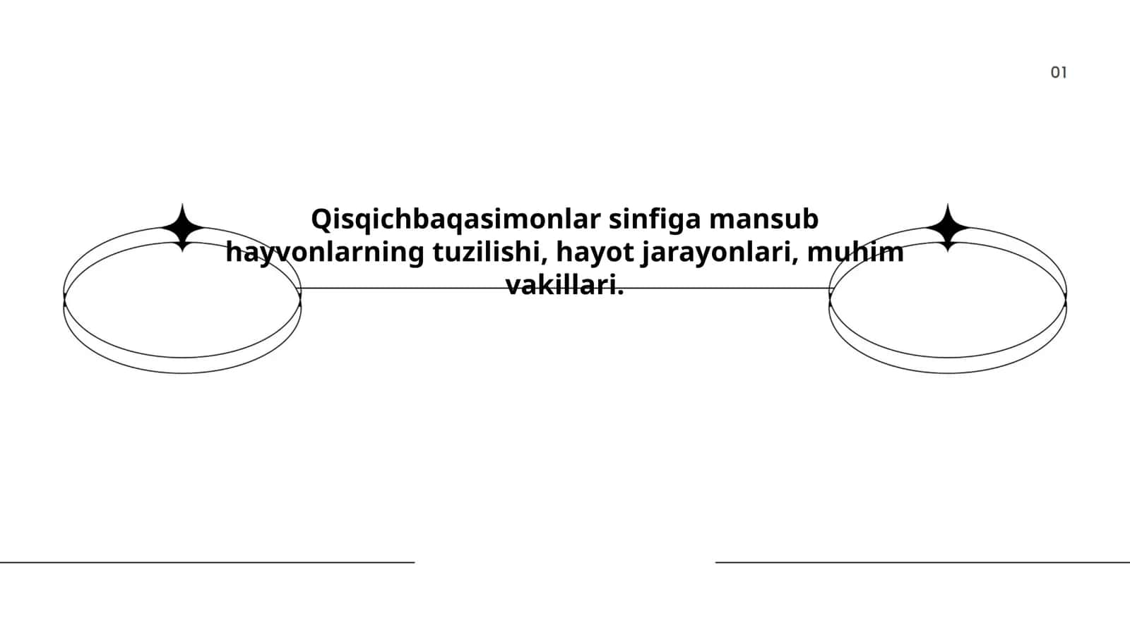 Qisqichbaqasimonlar sinfiga mansub hayvonlarning tuzilishi 1