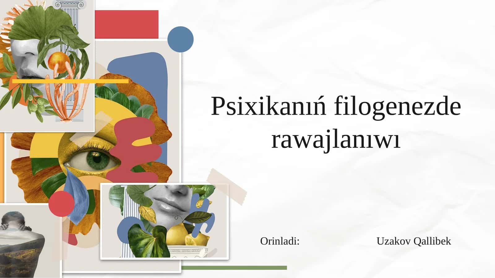 Psixikanıń filogenezde rawajlanıwı 1