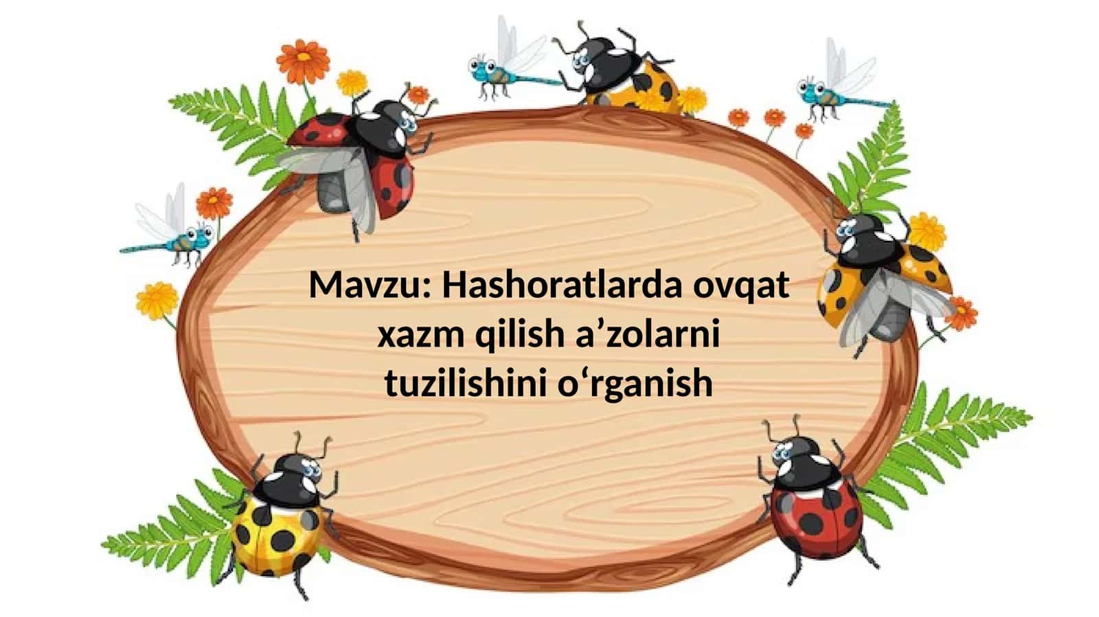 Hashoratlarda ovqat hazm qilish aniq tuzilishi 1