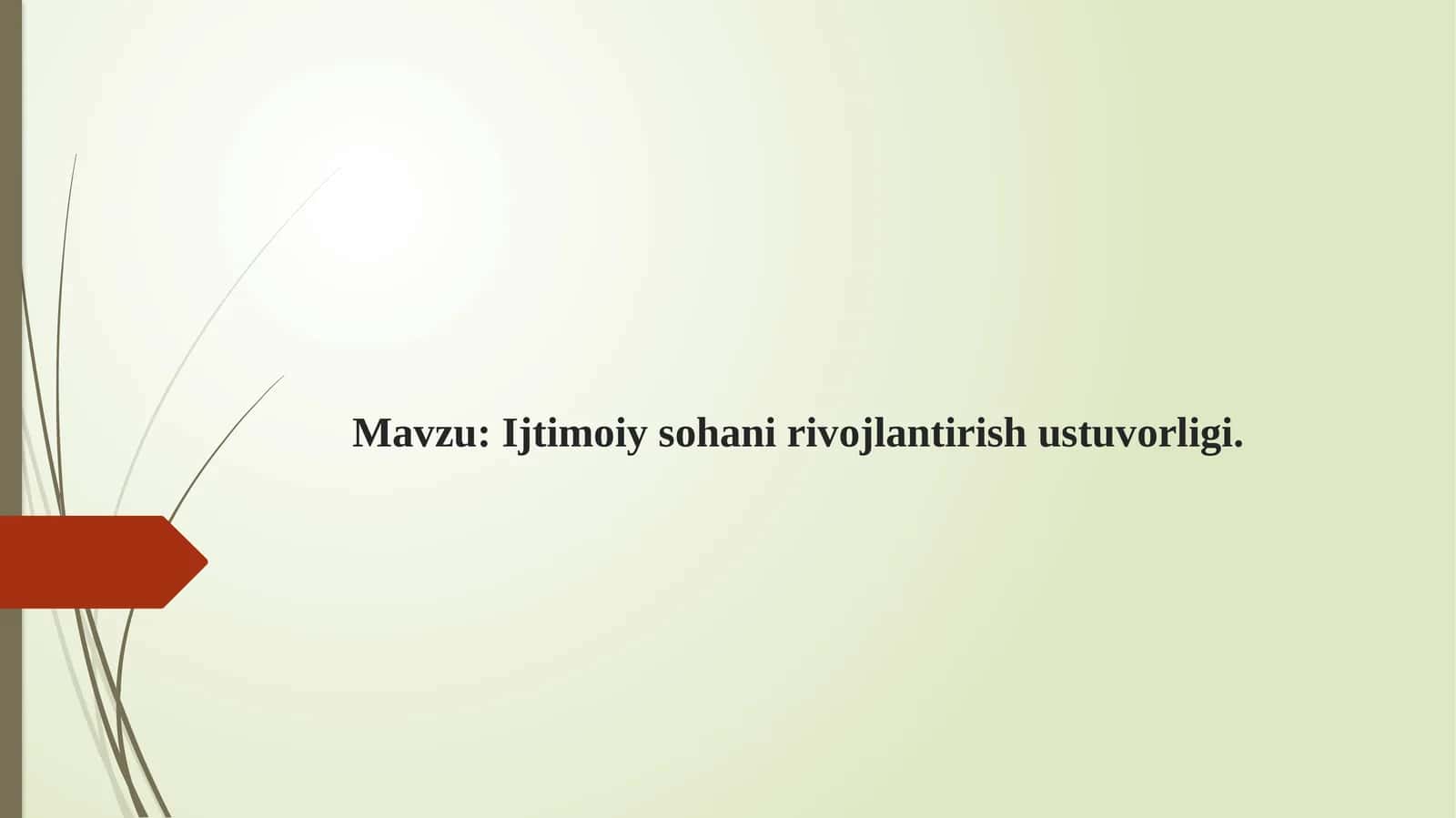 Ijtimoiy sohani rivojlantirish ustuvorligi 1