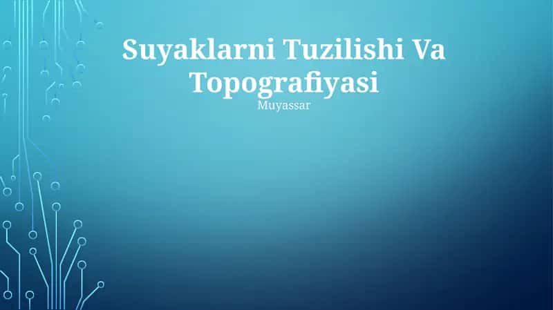 Suyaklarni Tuzilishi Va Topografiyasi 1