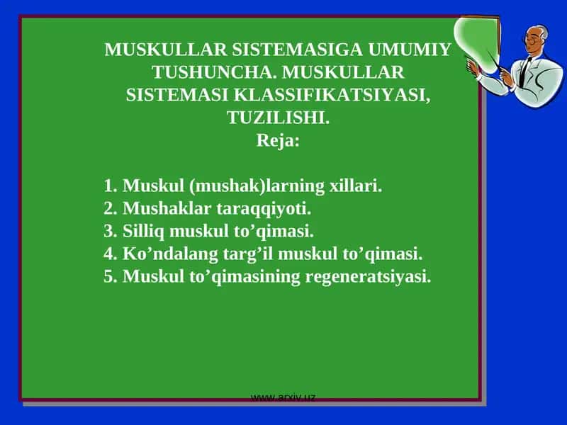 Muskullar sistemasiga umumiy tushuncha 1