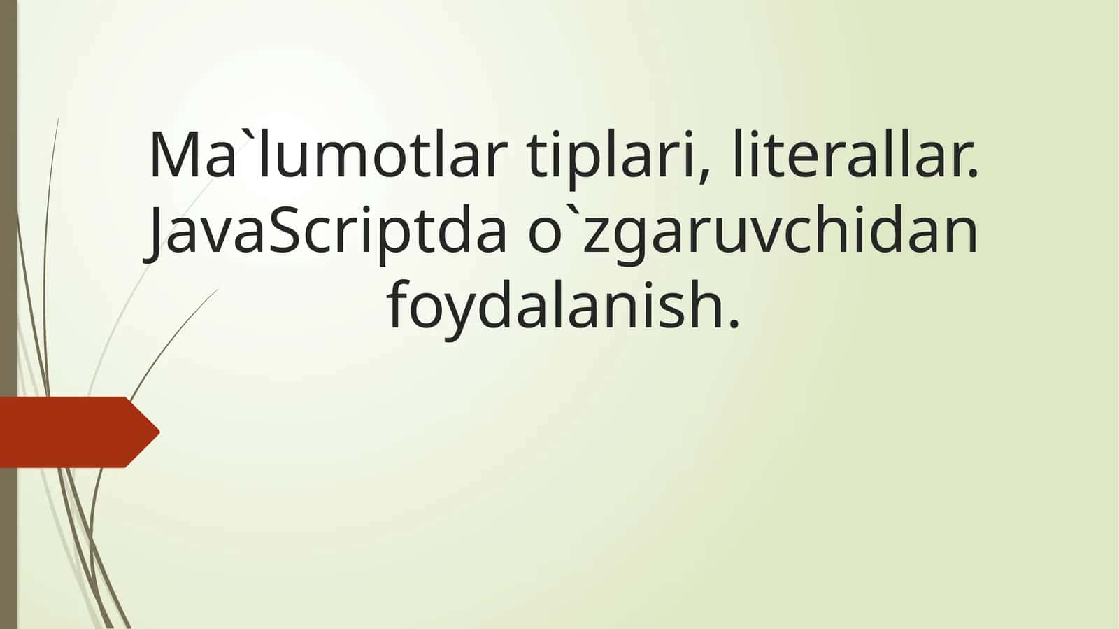 Ma`lumotlar tiplari, literallar 1