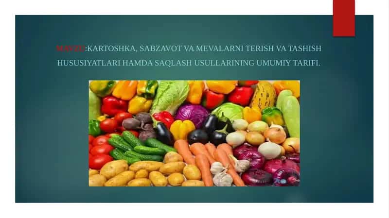 Meva-uzum va sabzavotlar tuzilishi 1