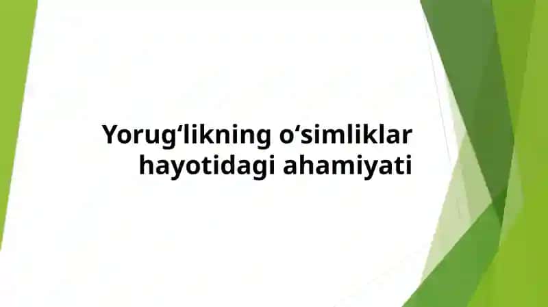 Yorugʻlikning oʻsimliklar hayotidagi ahamiyati 1