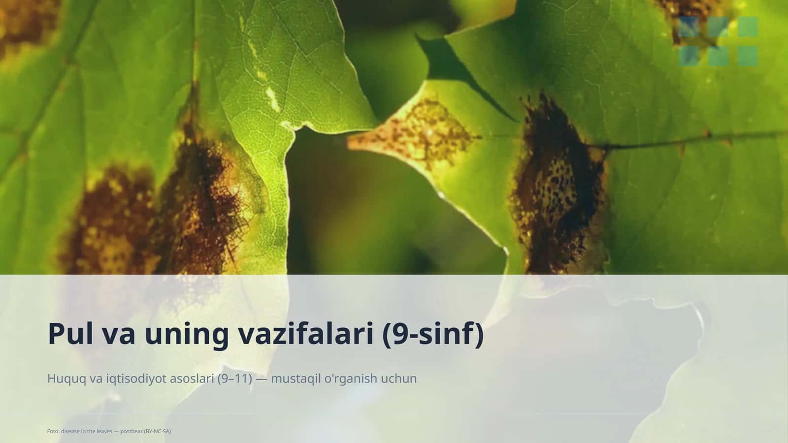 Pul va uning vazifalari (9-sinf) 1